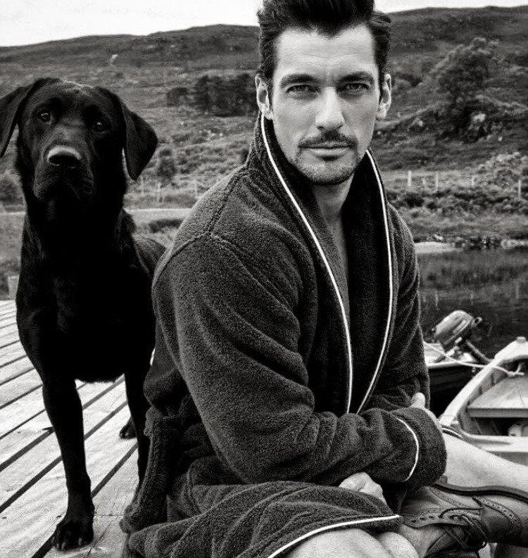 Stili yakala: David Gandy