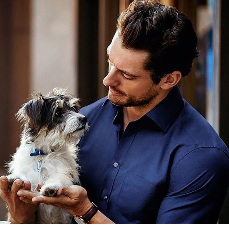 Stili yakala: David Gandy