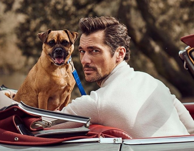 Stili yakala: David Gandy