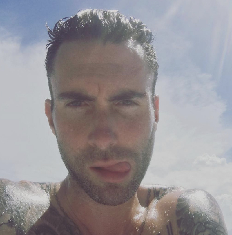 Adam Levine ve ilham verici saçları