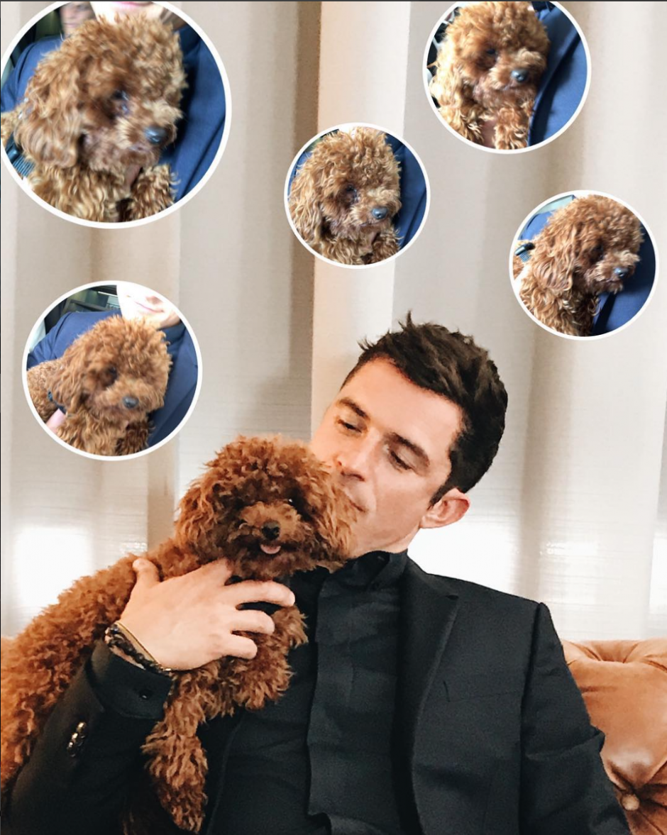 Instagram takibi: Orlando Bloom