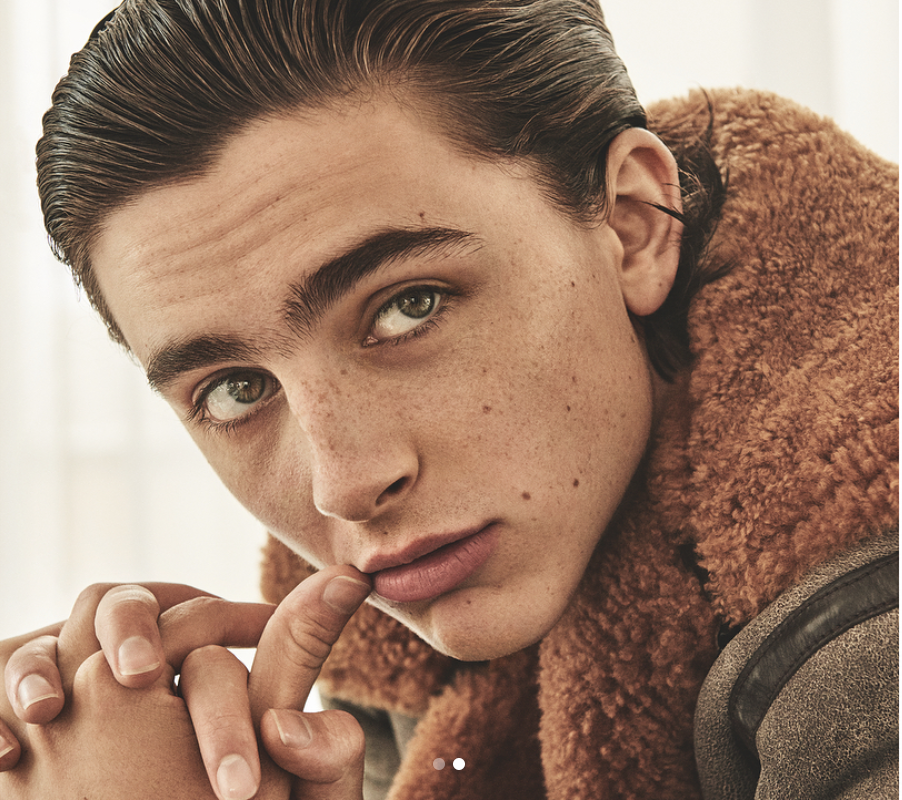 Instagram Takibi: Timothée Chalamet