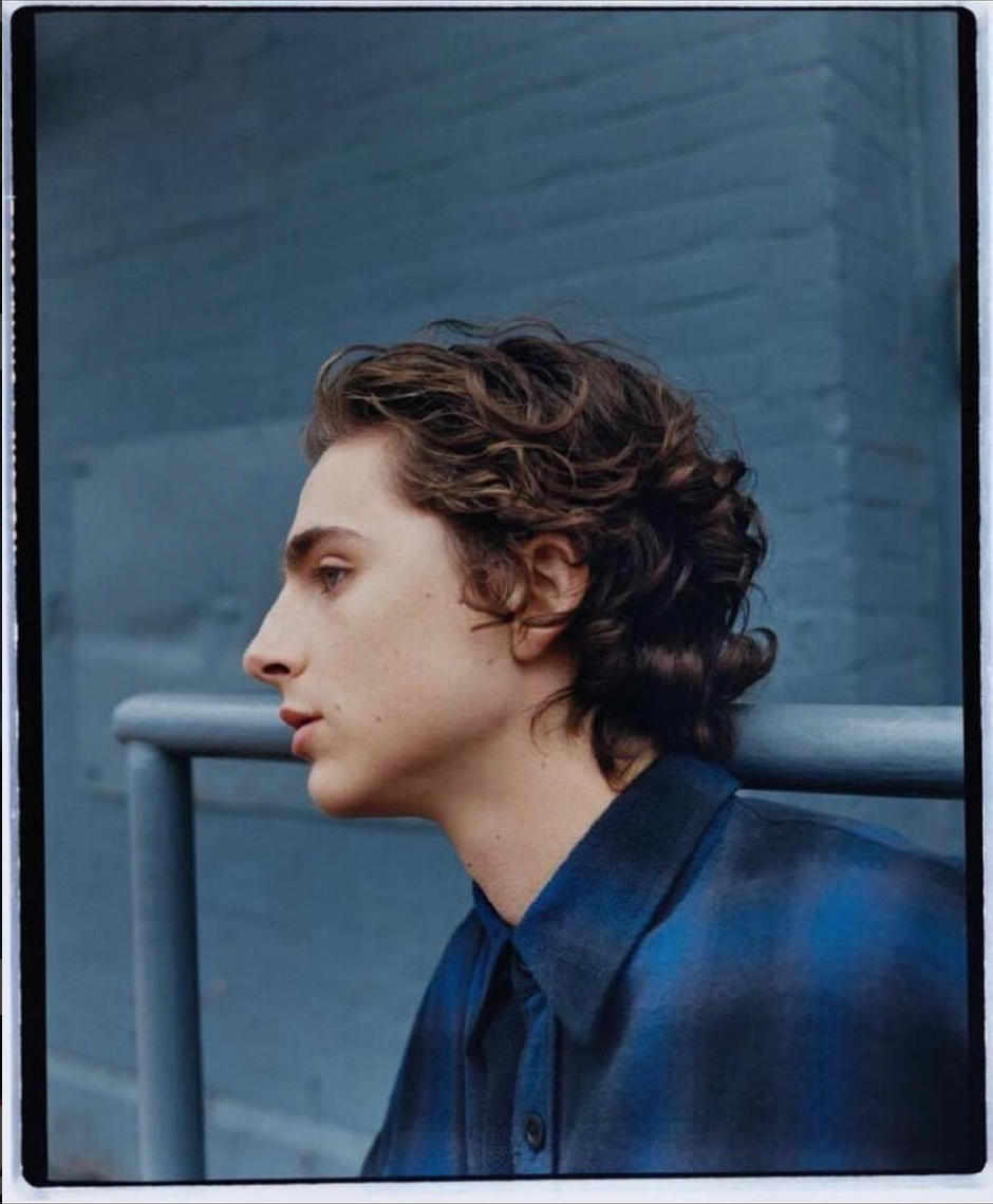 Instagram Takibi: Timothée Chalamet