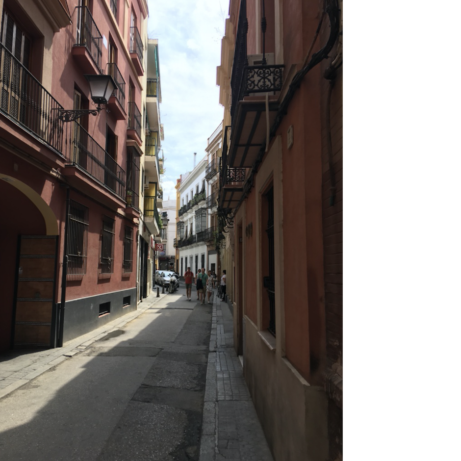 İspanya değil Endülüs: Dört adam, dört şehir, dört gün