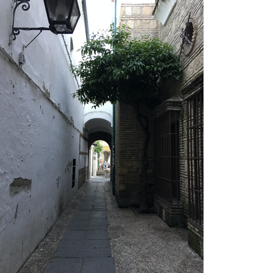 İspanya değil Endülüs: Dört adam, dört şehir, dört gün