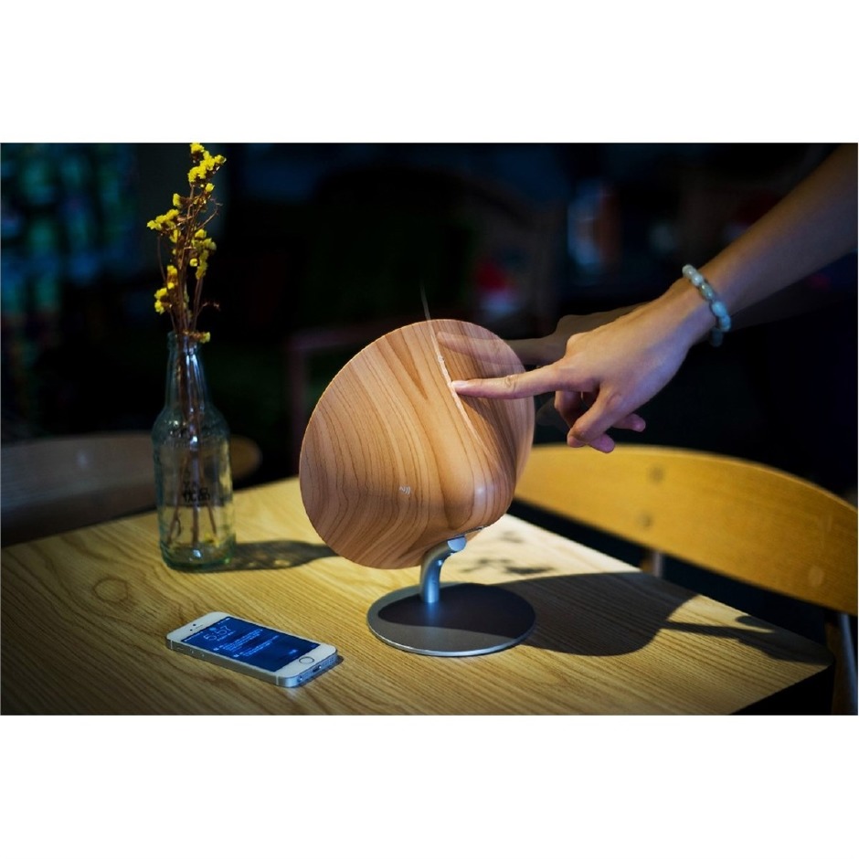 Evinizin yeni aksesuarı: Emie Solo One