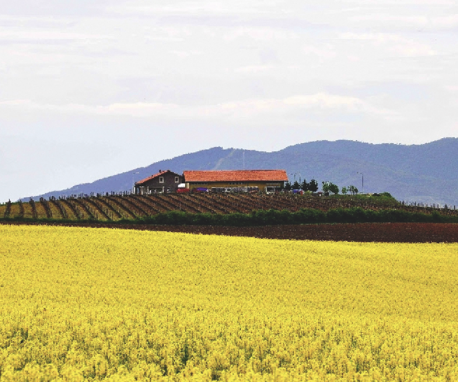 Beş Dakikada Tatil Planı