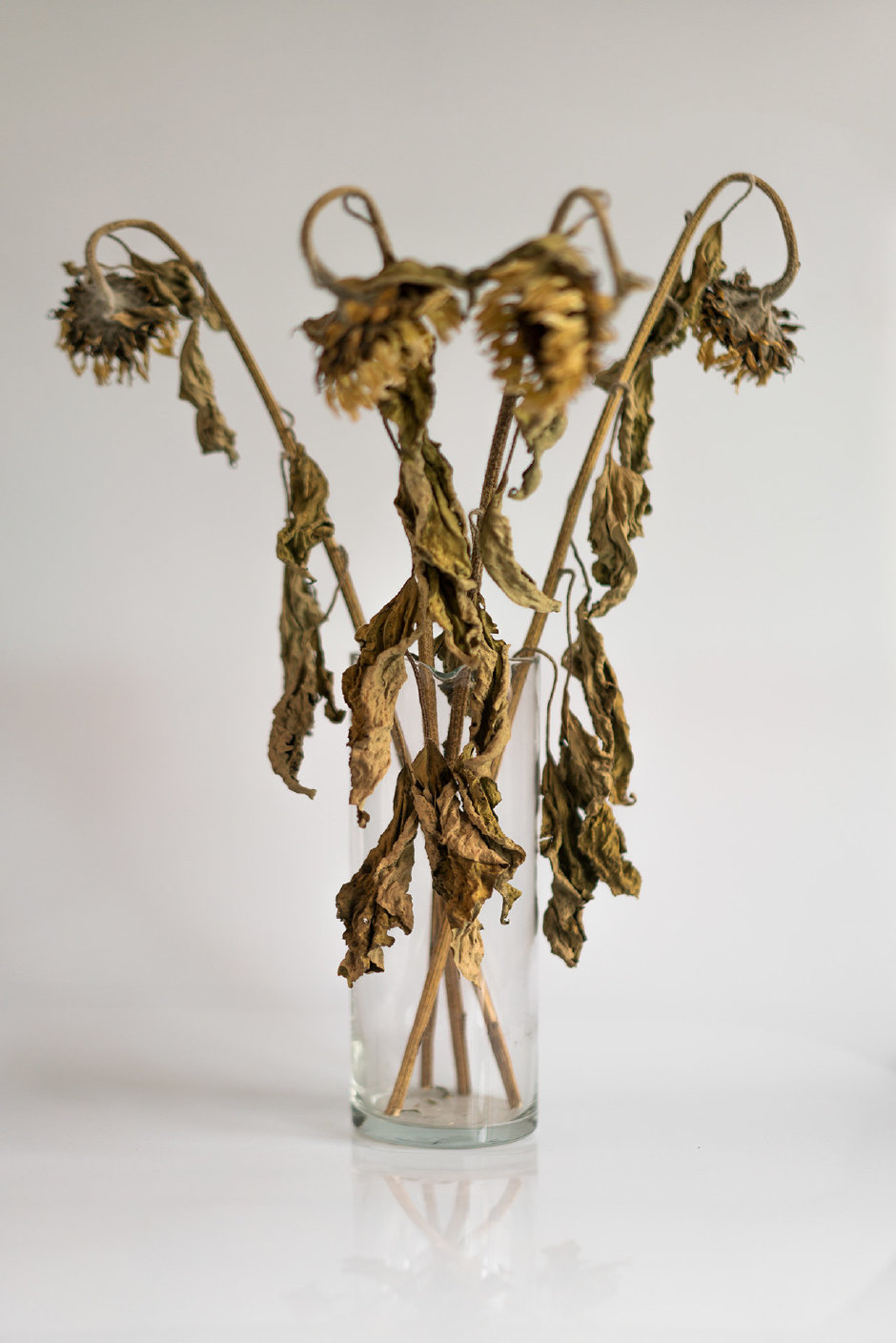 Ali Taptik'in Yeni Sergisi Leica Gallery İstanbul'da