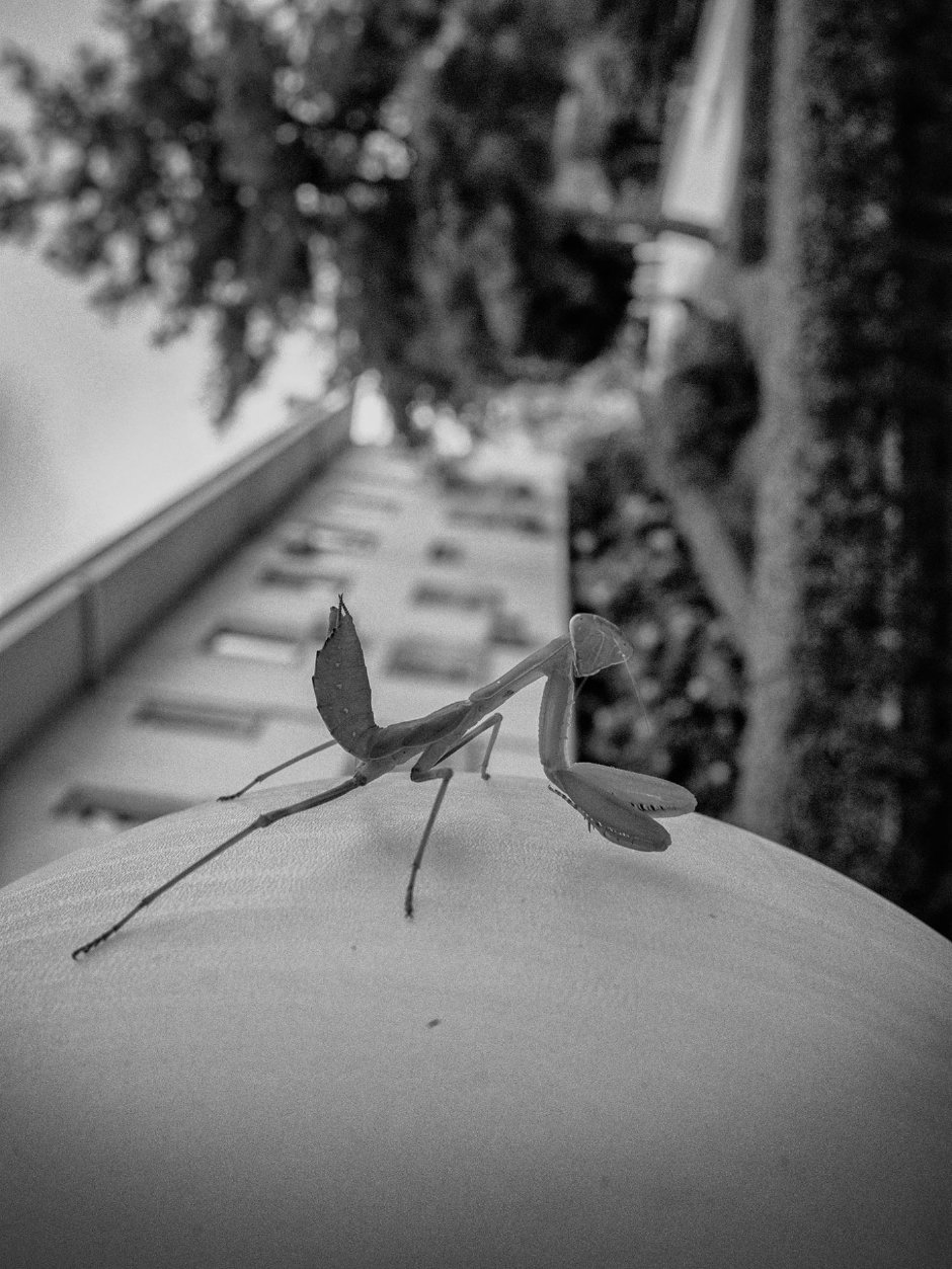 Ali Taptik'in Yeni Sergisi Leica Gallery İstanbul'da