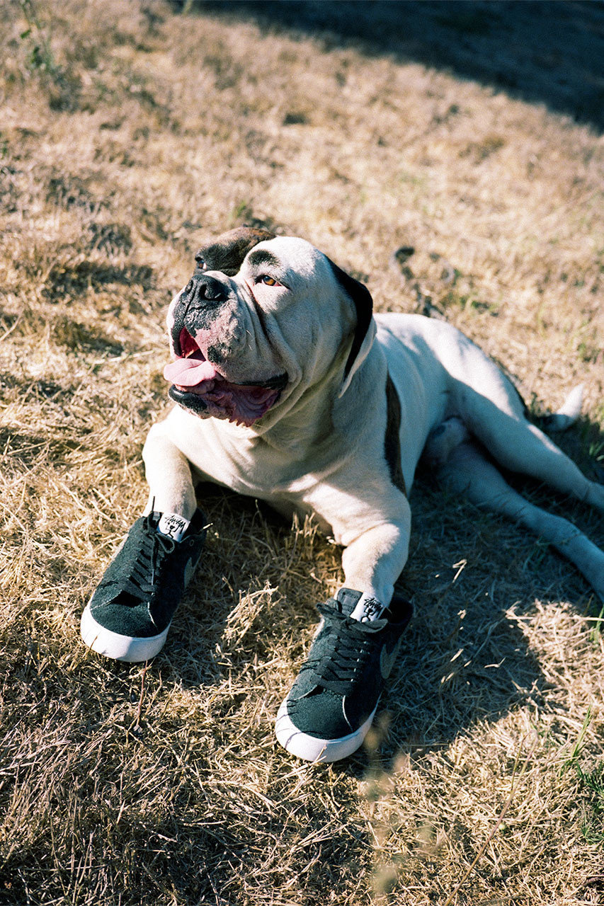 Lance Mountain’in Önderliğinde Yeni Stüssy ve Nike SB İş Birliği