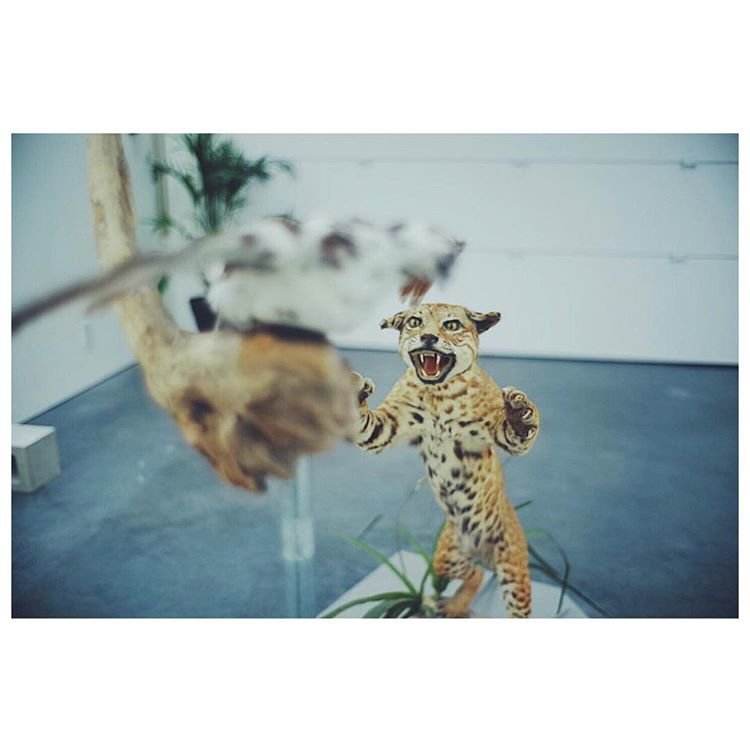 Secret Garden Sergisi