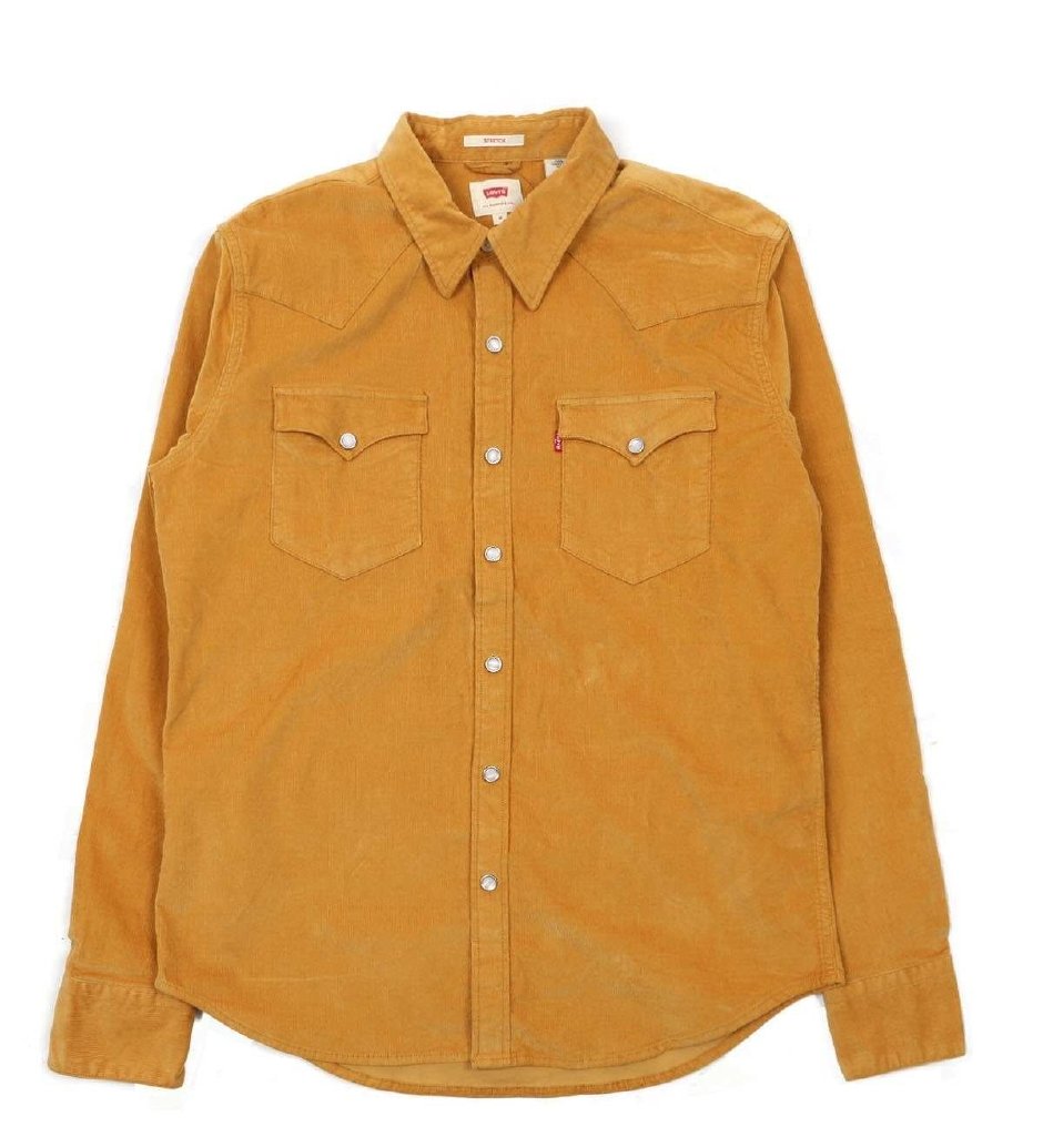 2019’un En İyi Western Gömleklerini Keşfedin