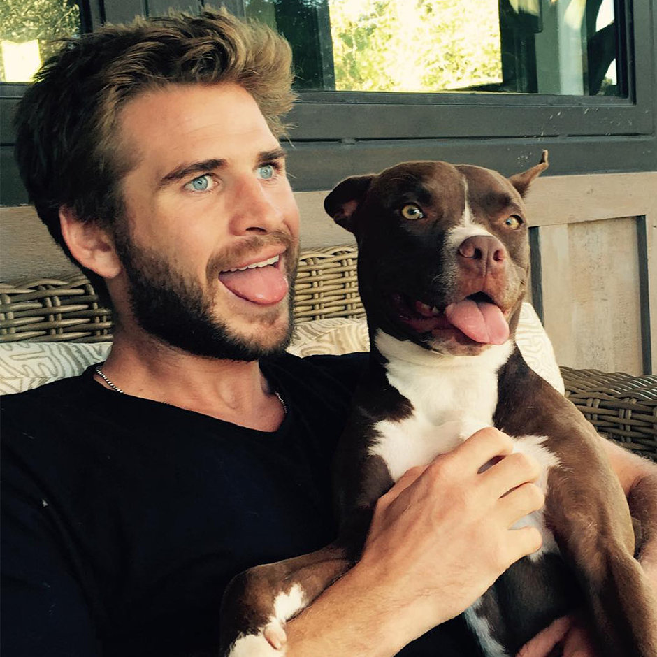 Liam Hemsworth'tan Not Alınması Gereken 5 Söz