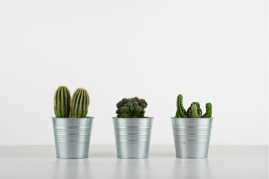 Ofis Masanızın İhtiyacı Olan 5 Ürün