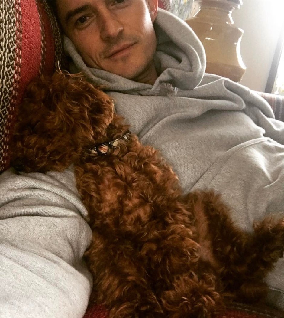 Bir Erkeğin En İyi Dostu Köpeği midir?