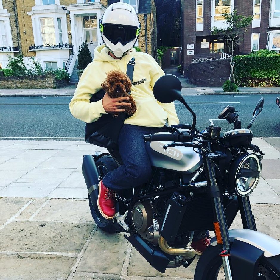 Bir Erkeğin En İyi Dostu Köpeği midir?