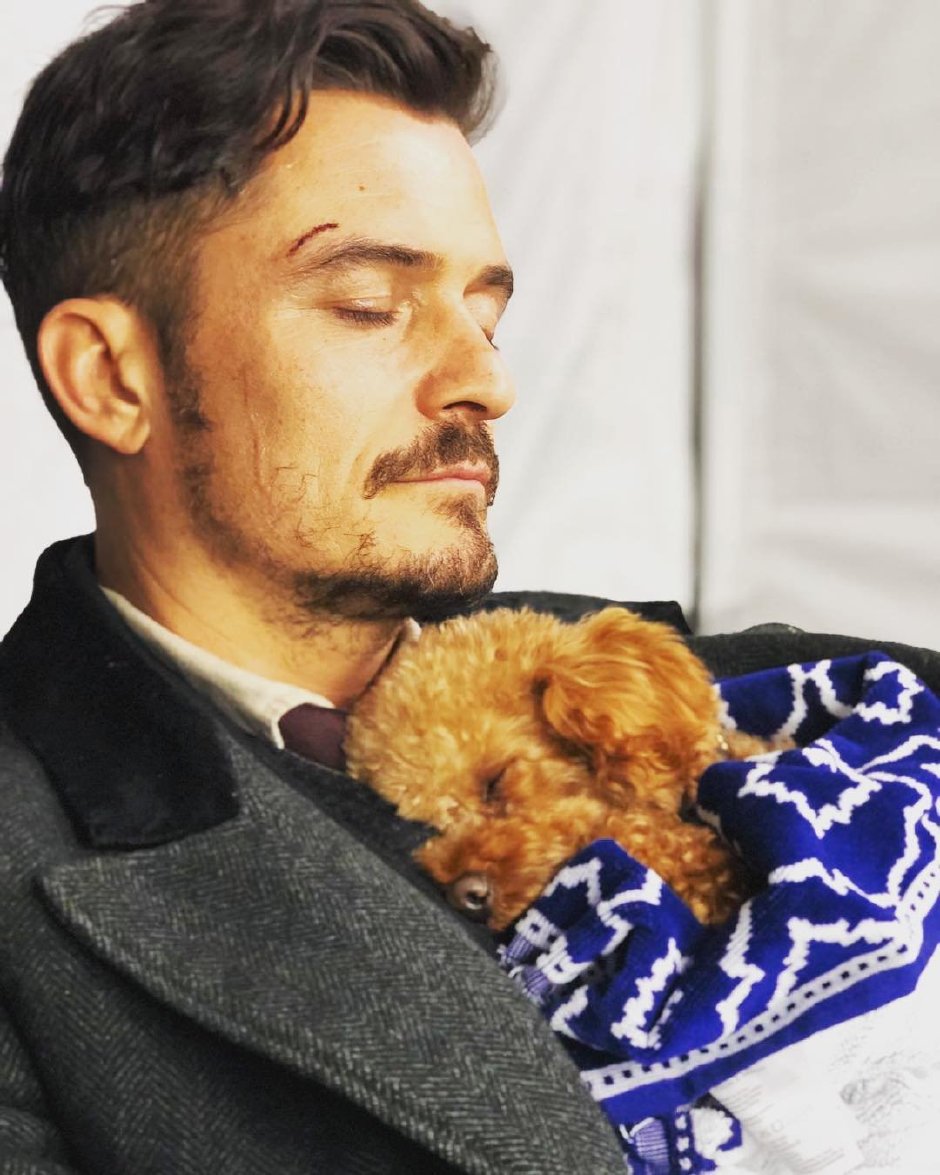 Bir Erkeğin En İyi Dostu Köpeği midir?