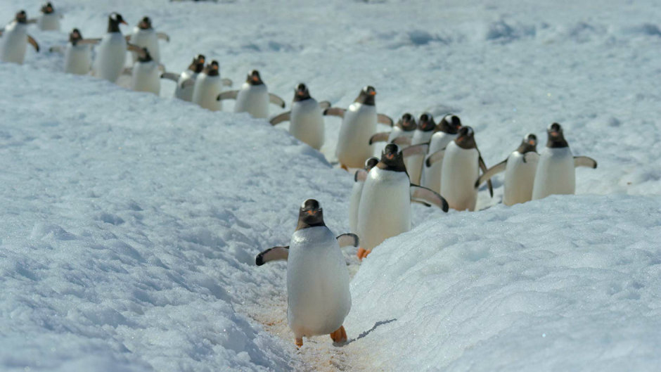 Netflix'te İzleyebileceğiniz 30 Belgesel