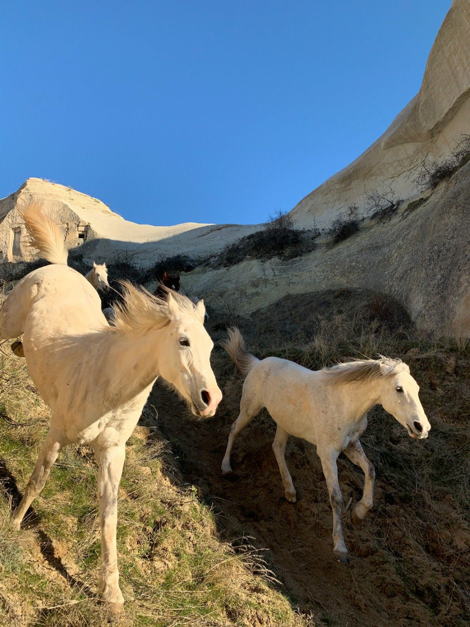 Çocukların Dünyası iPhone ile Hayat Buldu