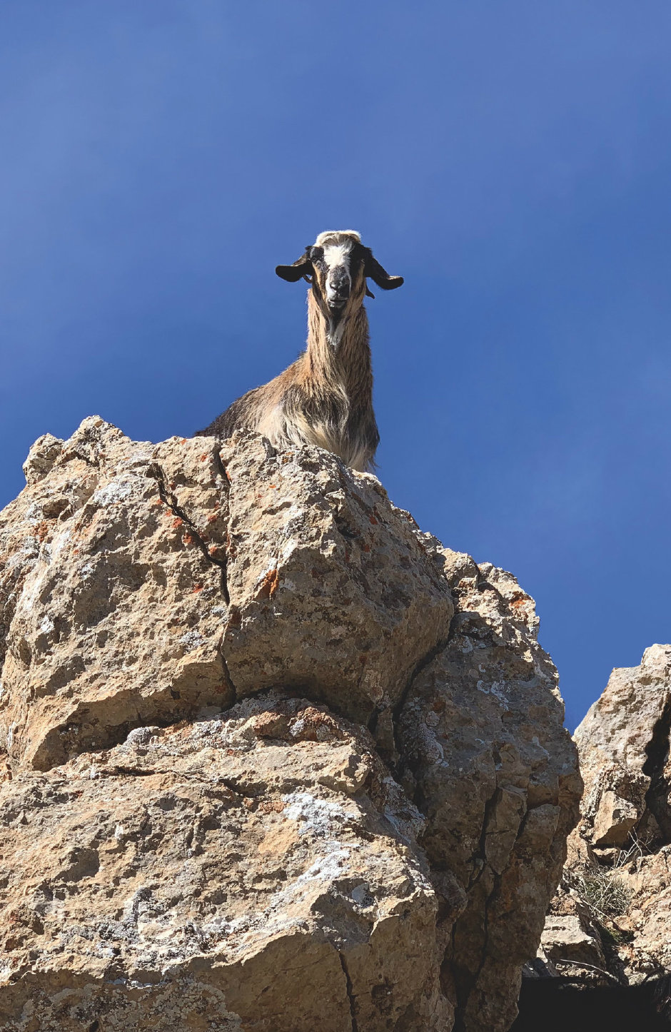 Çocukların Dünyası iPhone ile Hayat Buldu