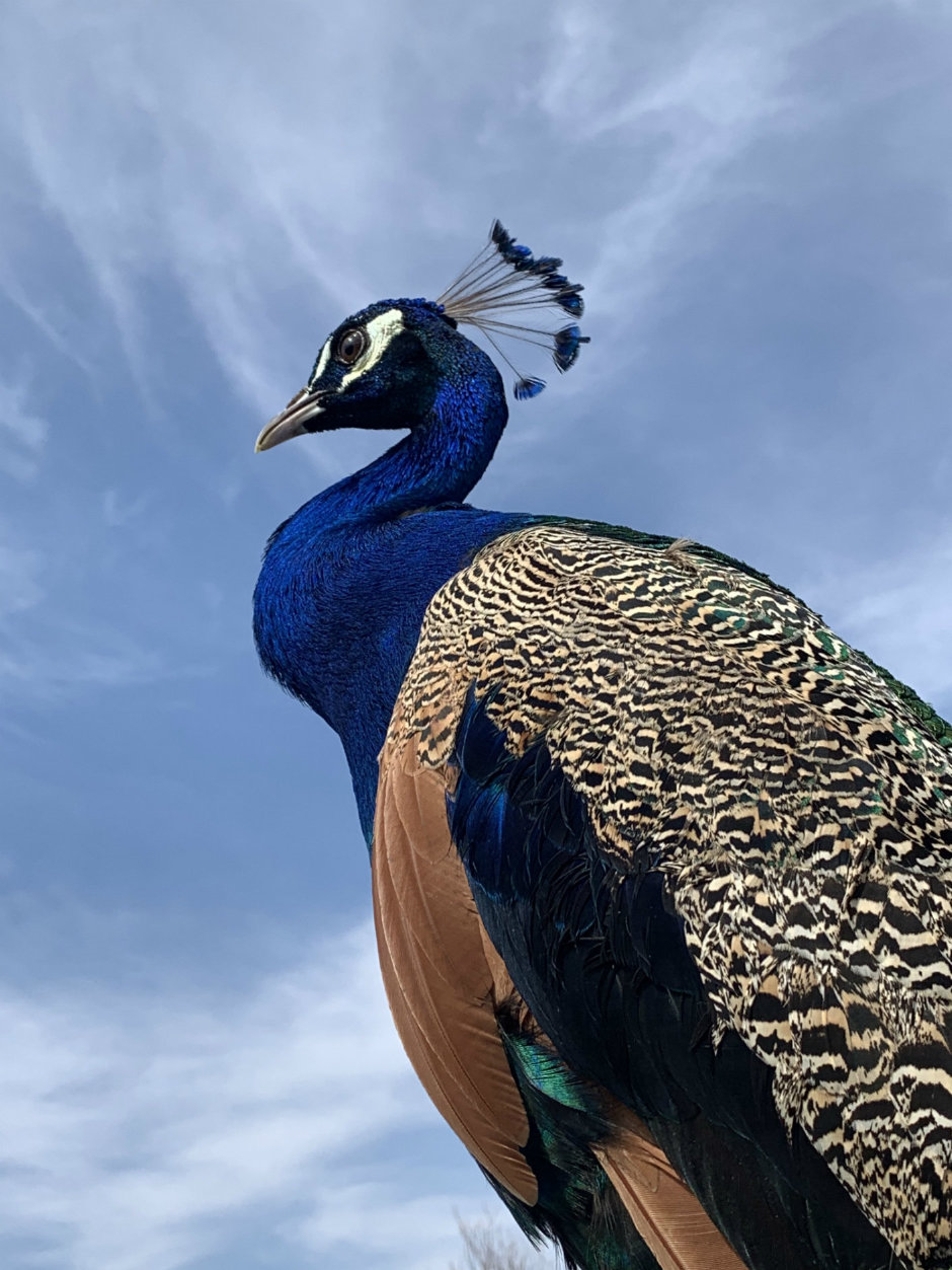 Çocukların Dünyası iPhone ile Hayat Buldu