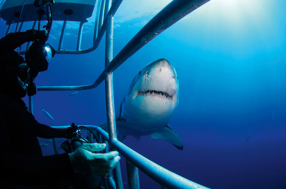 GQ Yaz 2019 Sayısında Neler Var?