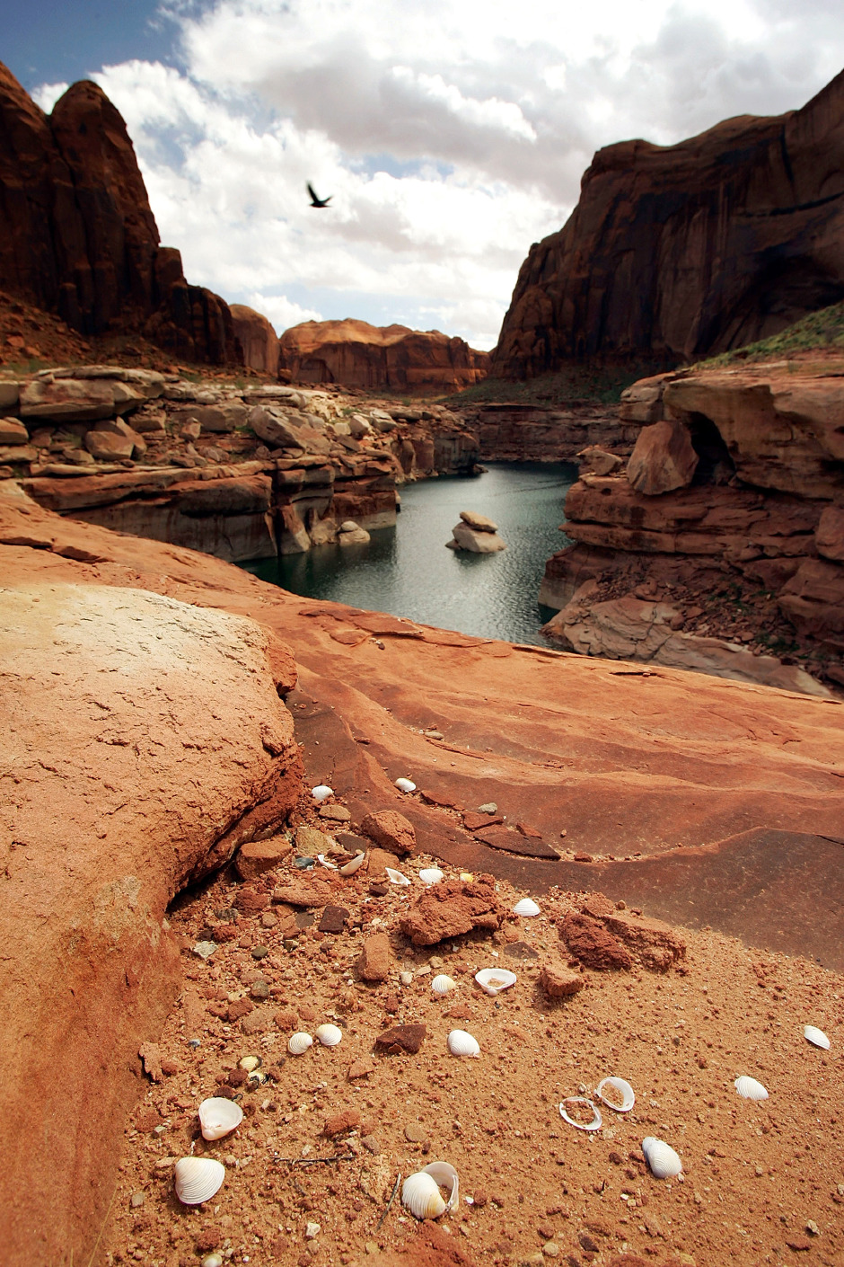 GQ Sonbahar 2019 Sayısında Neler Var? GQ Sonbahar 2019 Sayısında Neler Var?