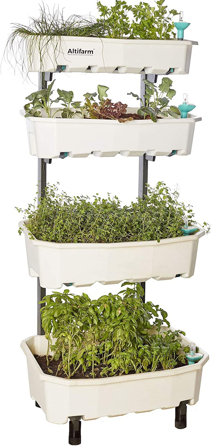 Bitkilerinize Değer Verme Zamanı