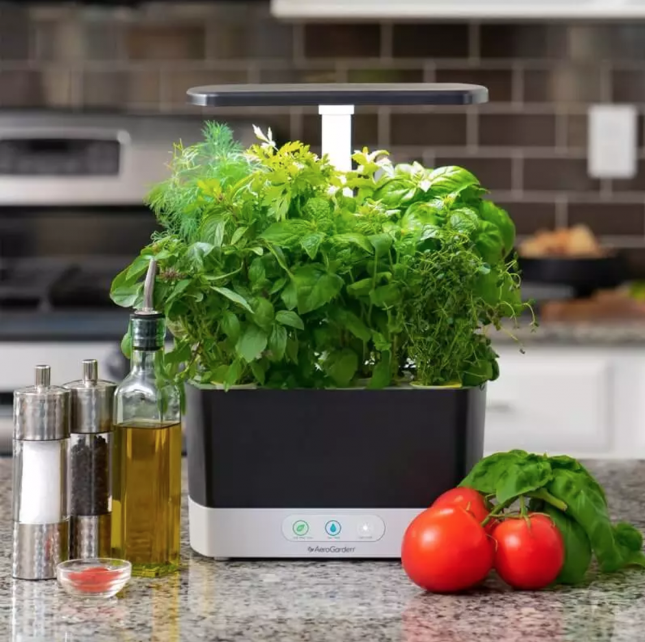 Bitkilerinize Değer Verme Zamanı