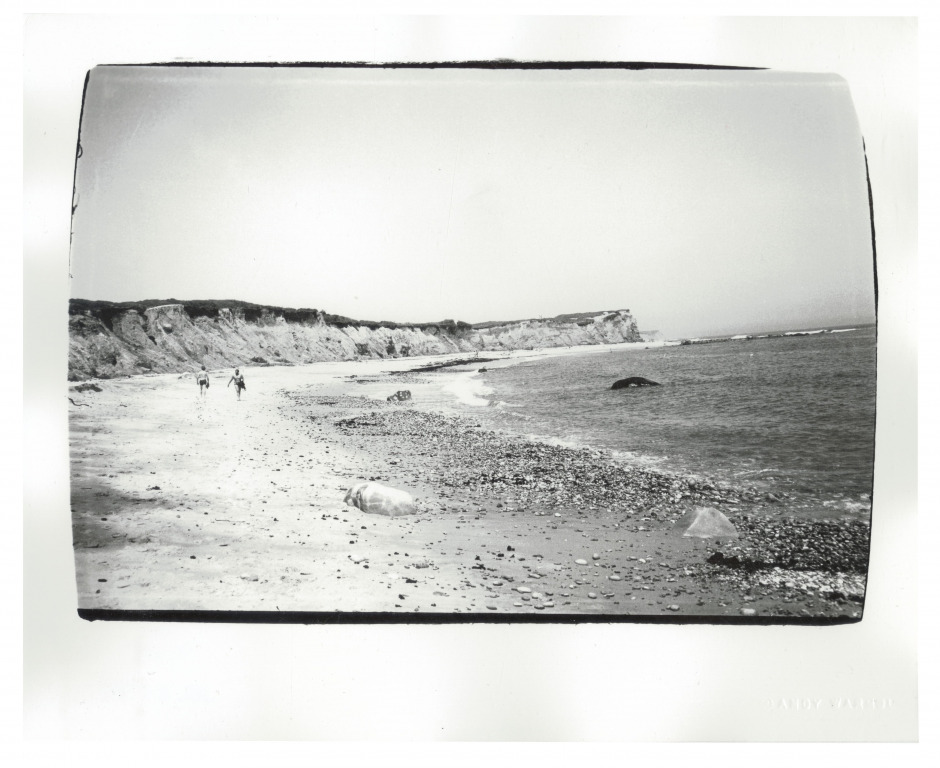 Andy Warhol Fotoğrafları Online Açık Artırmada