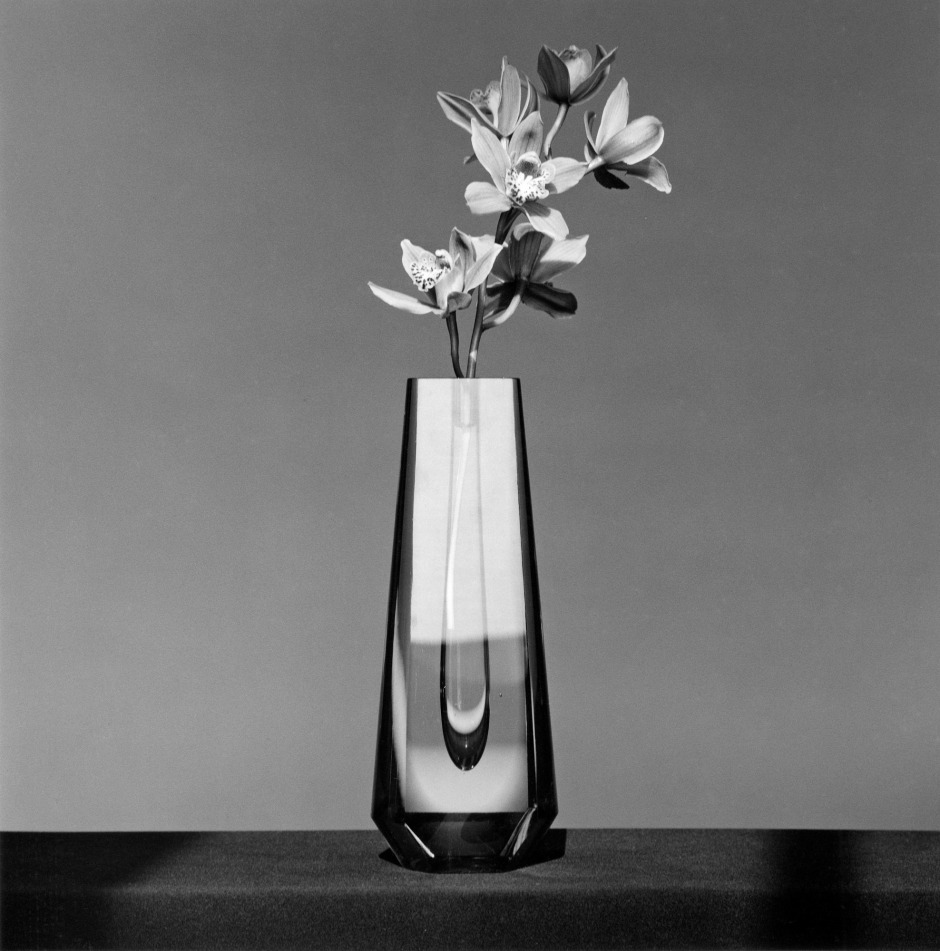 Paris Photo Sanat Fuarı Online Ziyaretçilerini Bekliyor Paris Photo Sanat Fuarı Online Ziyaretçilerini Bekliyor