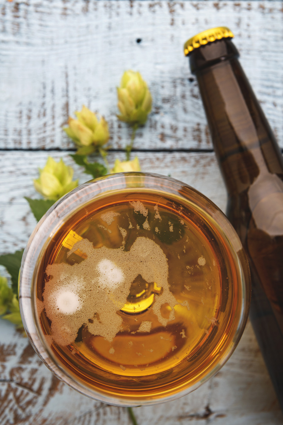 O Festival Bu Eve Gelecek