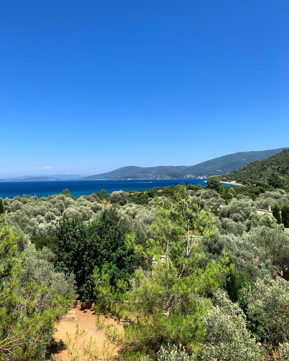 #GQDeneyim: Şef Fatih Tutak ile Pazarda Meyve Sebze Tadımı Yaptık