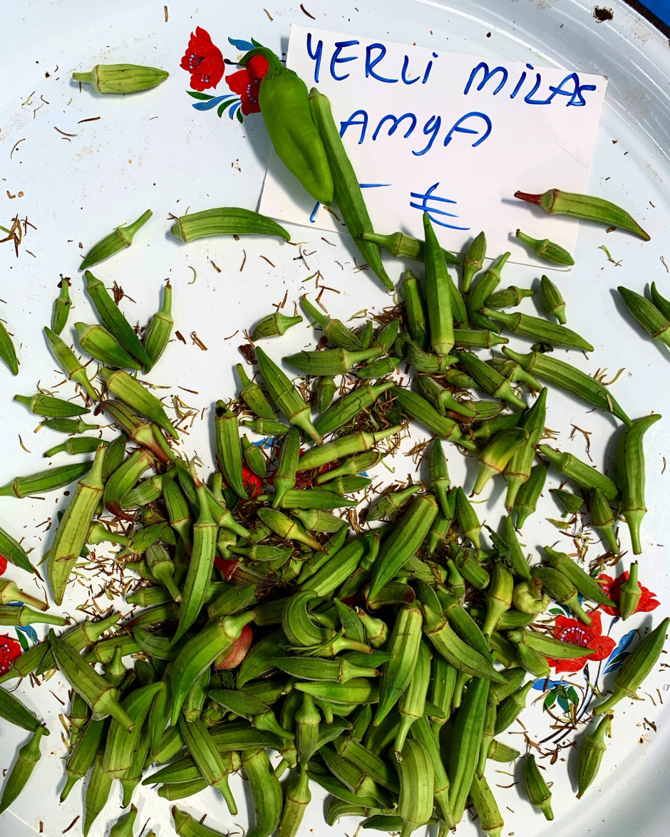 #GQDeneyim: Şef Fatih Tutak ile Pazarda Meyve Sebze Tadımı Yaptık