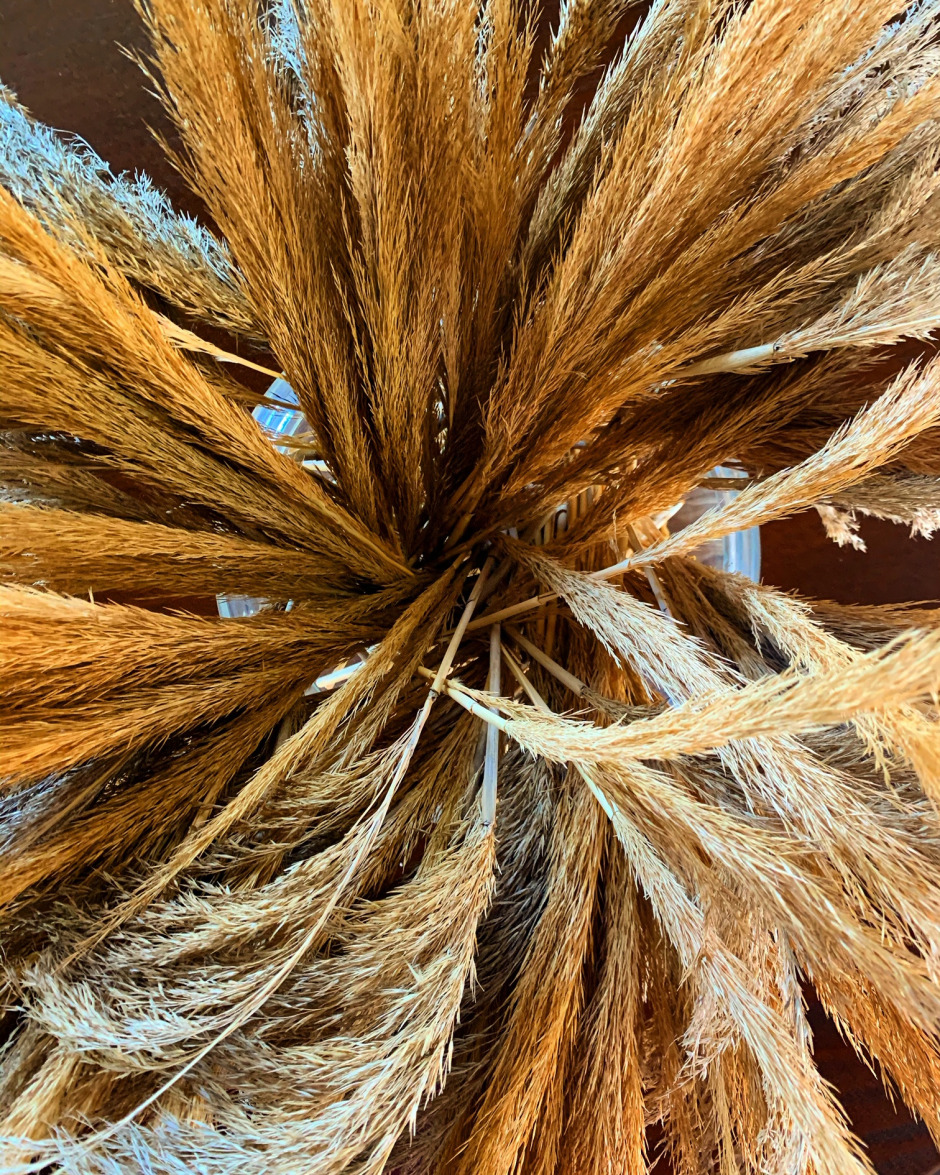 #GQDeneyim: Şef Fatih Tutak ile Pazarda Meyve Sebze Tadımı Yaptık