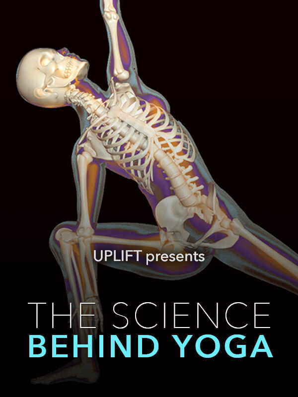 Ruhunuza İyi Gelecek 5 Belgesel