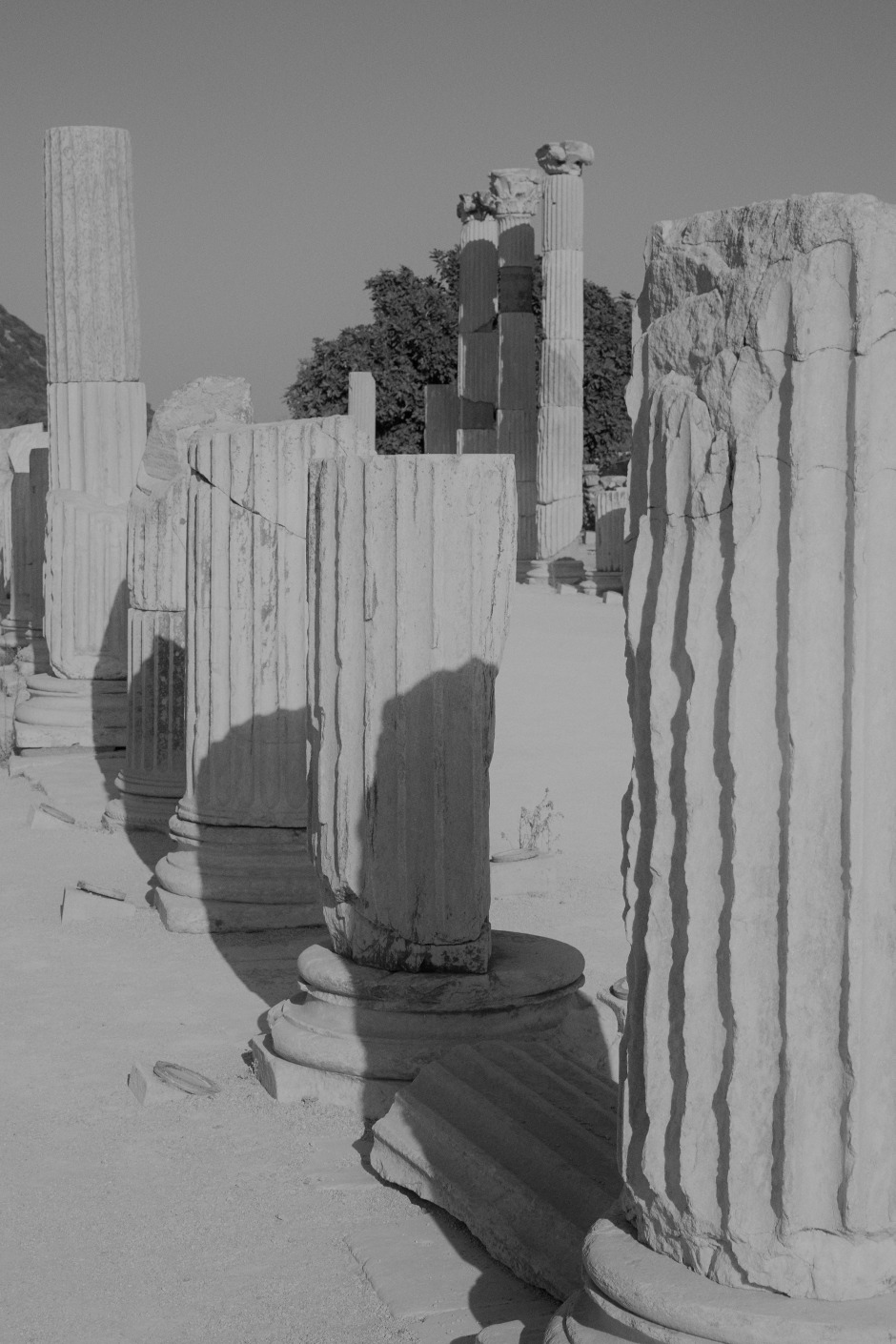 Yeni Kökler: Efes / Müzik ve Estetik Dolu Bir Hayalin Peşinde