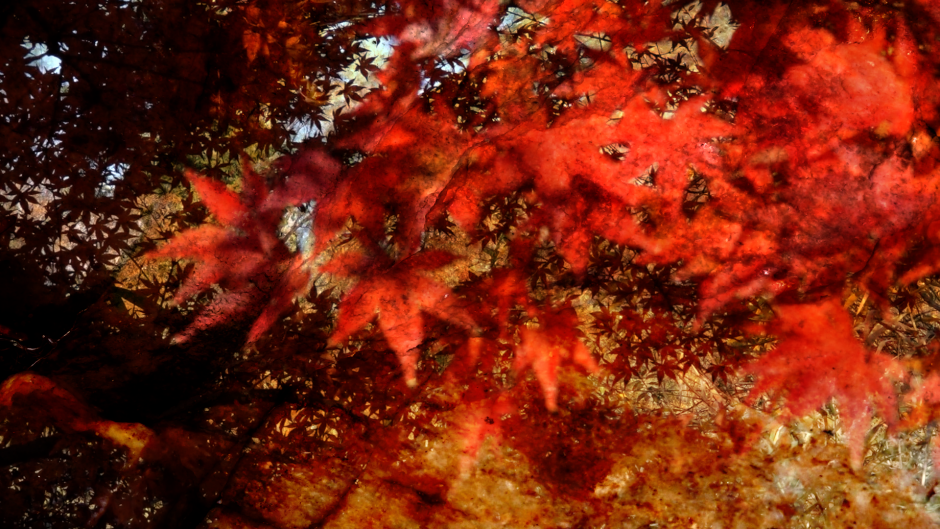 Mamut Art Project: Öne Çıkan 3 Sanatçıyla Konuştuk