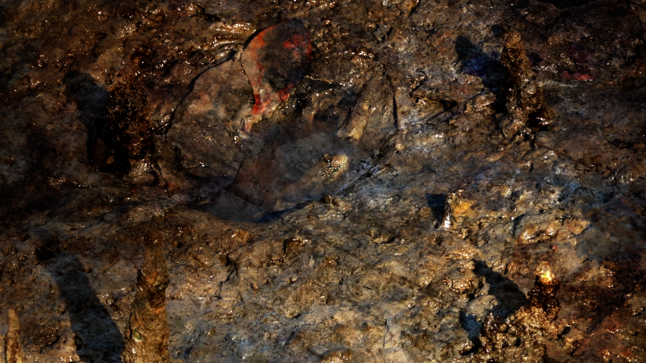 Mamut Art Project: Öne Çıkan 3 Sanatçıyla Konuştuk