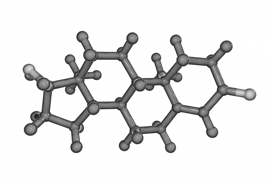 Nedir Şu Testosteron Meselesi ?