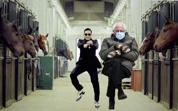 Bernie Sanders Eldivenlerinin Viral Olması Ne Anlama Geliyor?