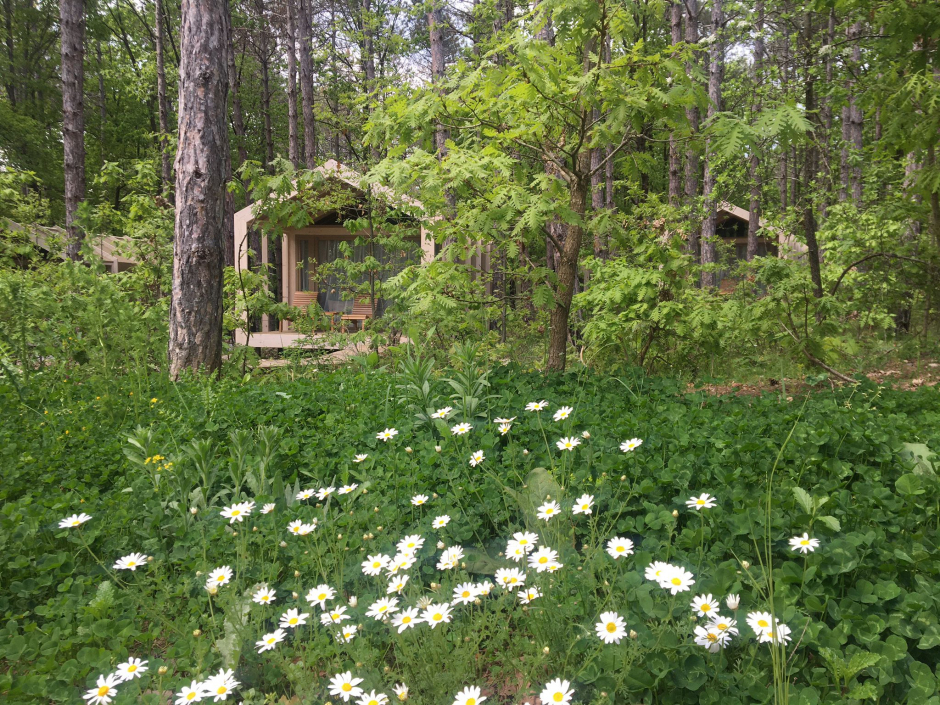 Doğanın Lüks Dengesinde Tatil: Longosphere Glamping