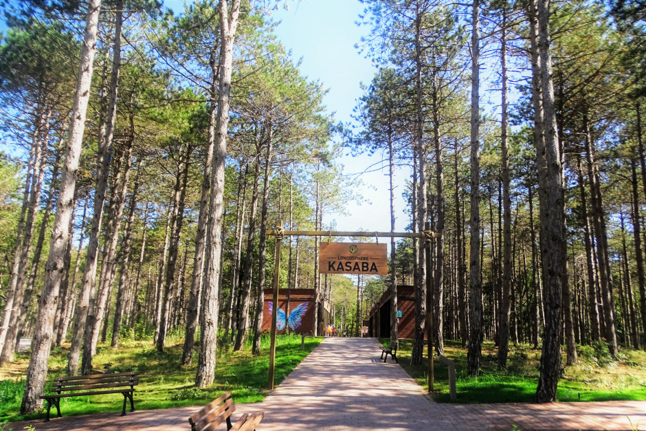 Doğanın Lüks Dengesinde Tatil: Longosphere Glamping