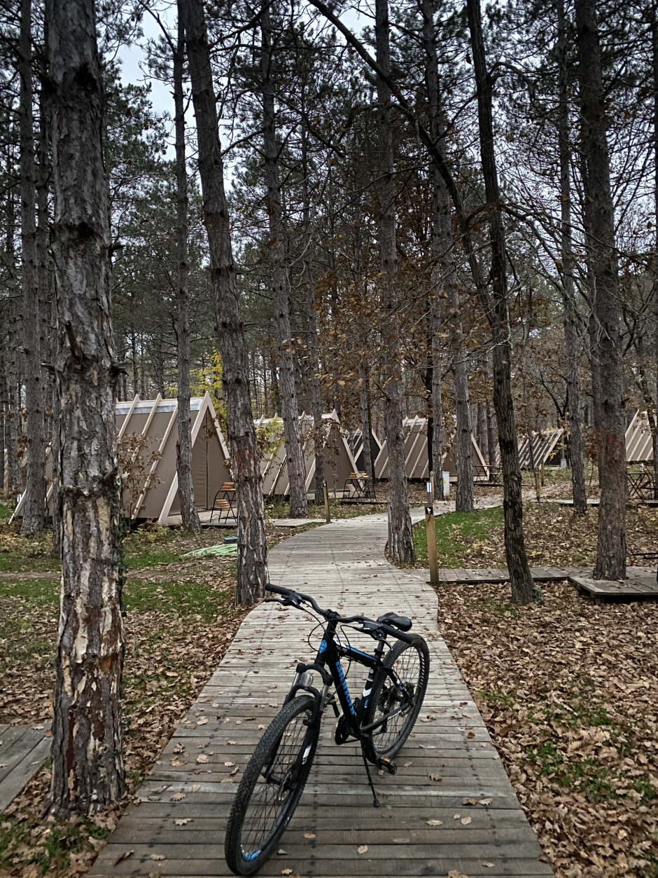 Doğanın Lüks Dengesinde Tatil: Longosphere Glamping