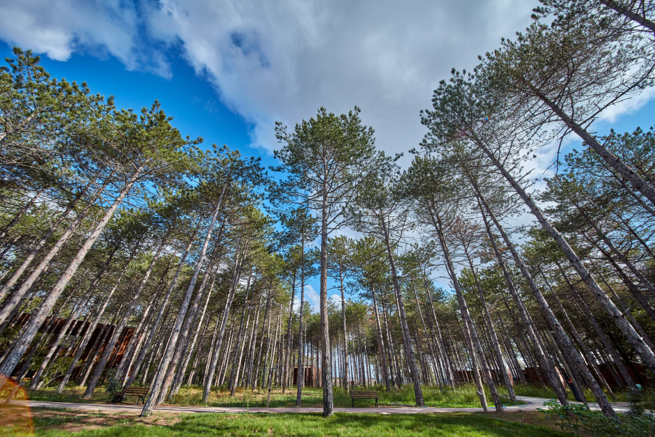 Doğanın Lüks Dengesinde Tatil: Longosphere Glamping