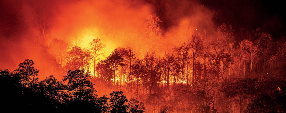 GQ Sonbahar 2021 Sayısında Neler Var? GQ Sonbahar 2021 Sayısında Neler Var?