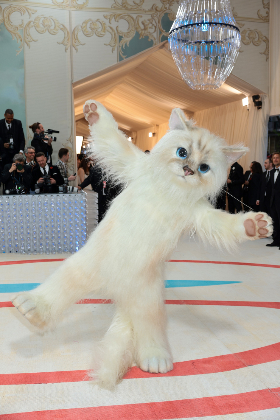 MET Gala 2023 Kırmızı Halı