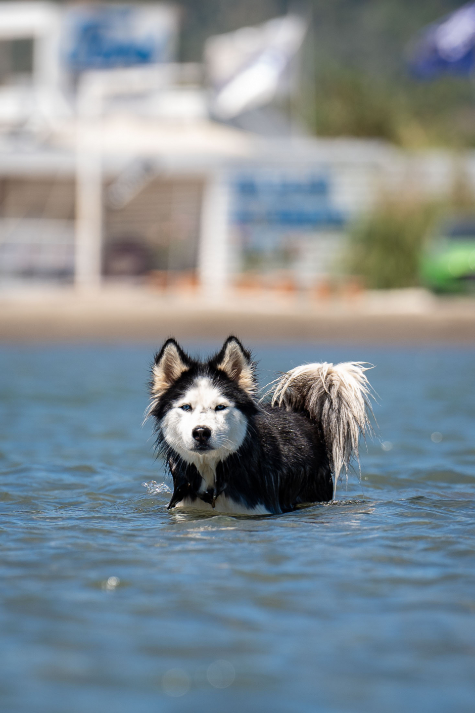 KiteMercedes'te 'Fun is in the Air'