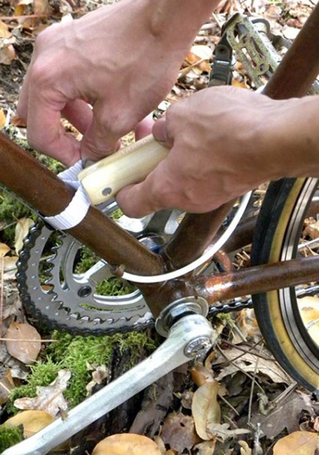 Wood’Insane Design