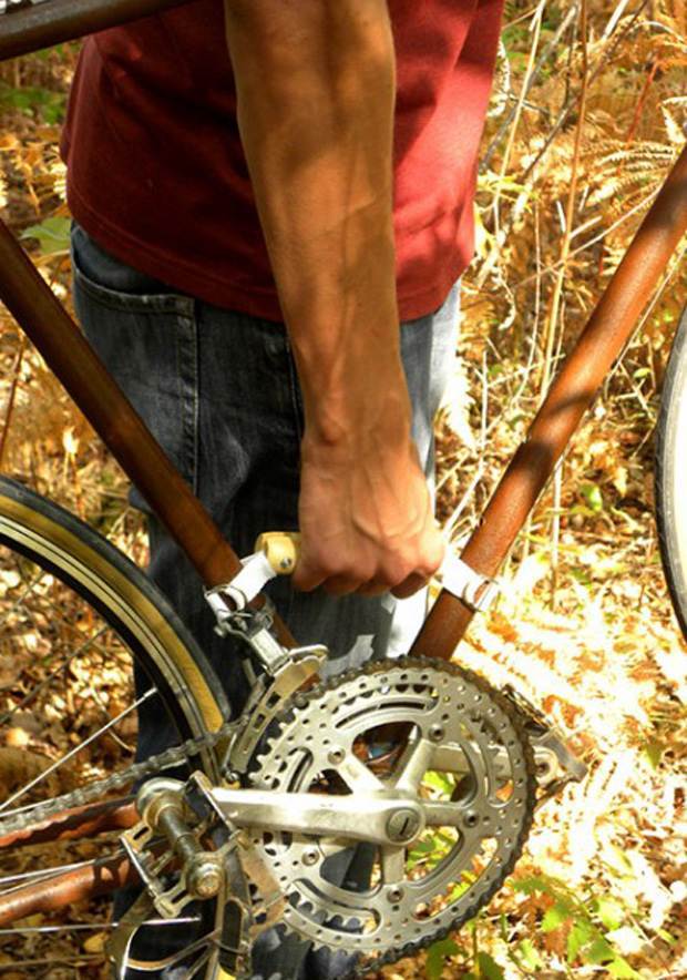 Wood’Insane Design